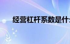 经营杠杆系数是什么意思（经营杠杆）