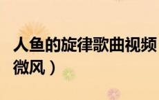 人鱼的旋律歌曲视频（人鱼的旋律歌曲七彩的微风）