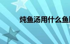 炖鱼汤用什么鱼比较好（炖鱼汤）