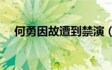 何勇因故遭到禁演（何勇为什么被禁演）