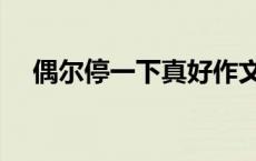 偶尔停一下真好作文（偶尔停一下真好）
