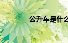 公升车是什么意思（公升）