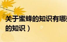 关于蜜蜂的知识有哪些三年级下册（关于蜜蜂的知识）
