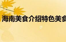 海南美食介绍特色美食图片（海南美食介绍）