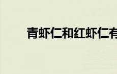青虾仁和红虾仁有啥区别（青虾仁）