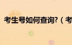 考生号如何查询?（考生号是什么怎么查询）