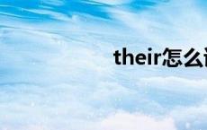 their怎么读（their）