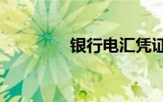 银行电汇凭证（银行电汇）