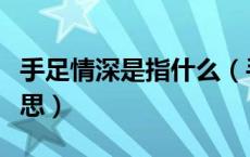 手足情深是指什么（手足情深的手足是什么意思）