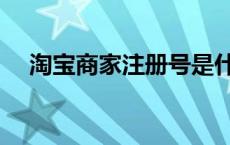 淘宝商家注册号是什么（淘宝商家注册）