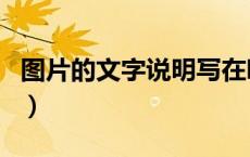 图片的文字说明写在哪（图片文字说明怎么写）