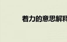 着力的意思解释（着力的意思）