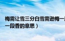 梅需让雪三分白雪需逊梅一段香（梅须逊雪三分白雪却输梅一段香的意思）