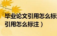 毕业论文引用怎么标注不算抄袭（毕业论文中引用怎么标注）