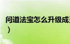 问道法宝怎么升级成灵物（问道法宝怎么升级）