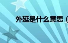 外延是什么意思（周延是什么意思）