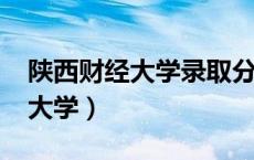 陕西财经大学录取分数线2023年（陕西财经大学）