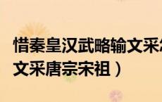 惜秦皇汉武略输文采怎么读（惜秦皇汉武略输文采唐宗宋祖）