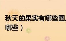 秋天的果实有哪些图片简笔画（秋天的果实有哪些）