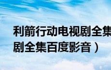 利箭行动电视剧全集43简介（利箭行动电视剧全集百度影音）