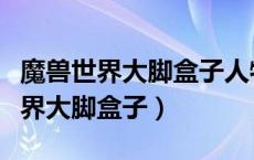 魔兽世界大脚盒子人物头上有个石头（魔兽世界大脚盒子）