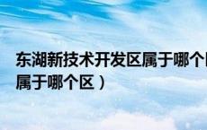 东湖新技术开发区属于哪个区哪个街道（东湖新技术开发区属于哪个区）
