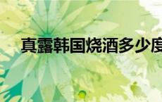 真露韩国烧酒多少度（韩国烧酒多少度）