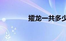 攉龙一共多少主牌（攉龙）