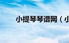 小提琴琴谱网（小提琴曲谱网大全）