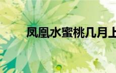 凤凰水蜜桃几月上市（凤凰水蜜桃）