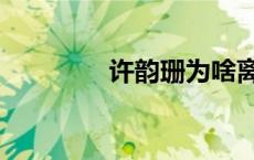 许韵珊为啥离奇（许韵珊）