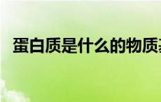 蛋白质是什么的物质基础（蛋白质是什么）
