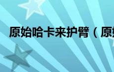 原始哈卡来护臂（原始哈卡莱护臂怎么换）