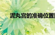 泥丸宫的准确位置图和作用（泥丸宫）