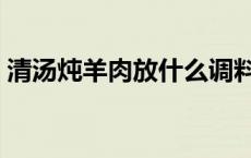 清汤炖羊肉放什么调料（炖羊肉放什么调料）