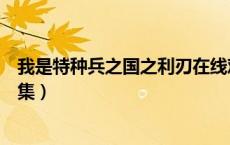 我是特种兵之国之利刃在线观看（我是特种兵之国之利刃全集）
