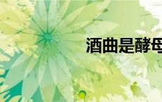 酒曲是酵母吗（酒曲）