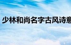 少林和尚名字古风诗意大全（少林和尚名字）