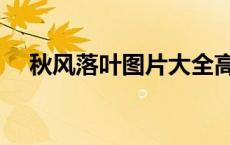 秋风落叶图片大全高清（秋风落叶图片）