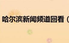 哈尔滨新闻频道回看（哈尔滨新闻综合回放）