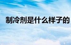 制冷剂是什么样子的（制冷剂是什么成分）