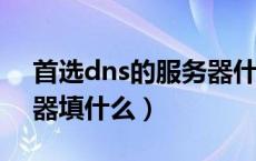 首选dns的服务器什么意思（首选DNS服务器填什么）