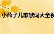小燕子儿歌歌词大全视频（小燕子儿歌歌词）