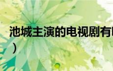 池城主演的电视剧有哪些（池城主演的电视剧）