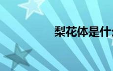 梨花体是什么（梨花体）