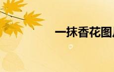 一抹香花图片（一抹香）