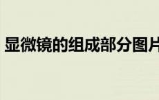 显微镜的组成部分图片（显微镜的组成部分）