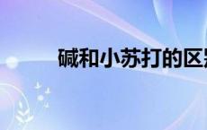碱和小苏打的区别（碱水是什么）