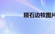 陨石边牧图片（陨石图片）