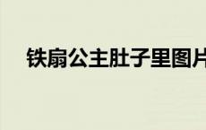 铁扇公主肚子里图片（铁扇公主肚子里）